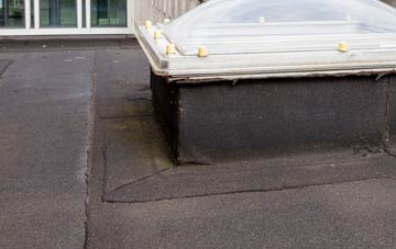 disadvantages of Capel Tygwydd flat roofs