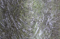 Capel Tygwydd fibreglass roof work